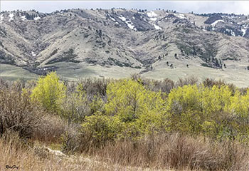 image from K2 Casper Radio article, https://k2radio.com/casper-group-buckles-down-on-keeping-gravel-pit-away-from-coates-road-sends-formal-demand-to-governor/